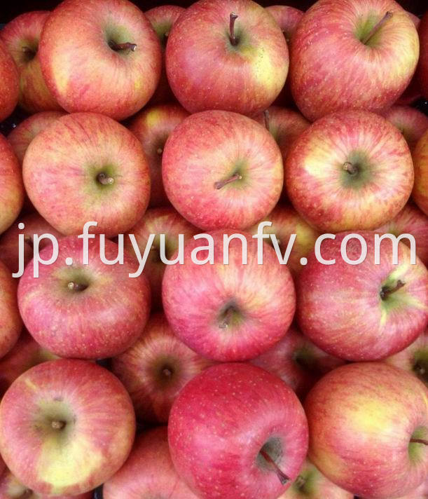 Fuji Apple 62